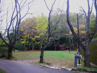 潤井戸公園 市原市ホームページ