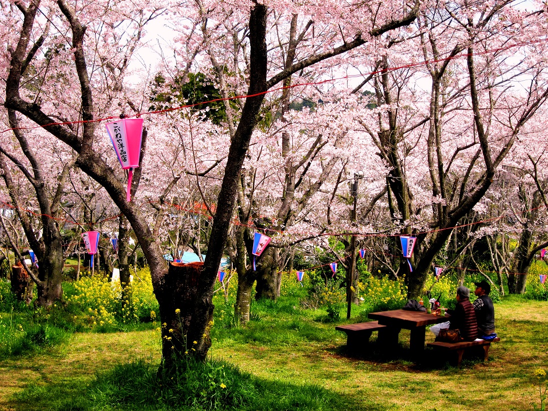 鶴舞公園 市原市ホームページ