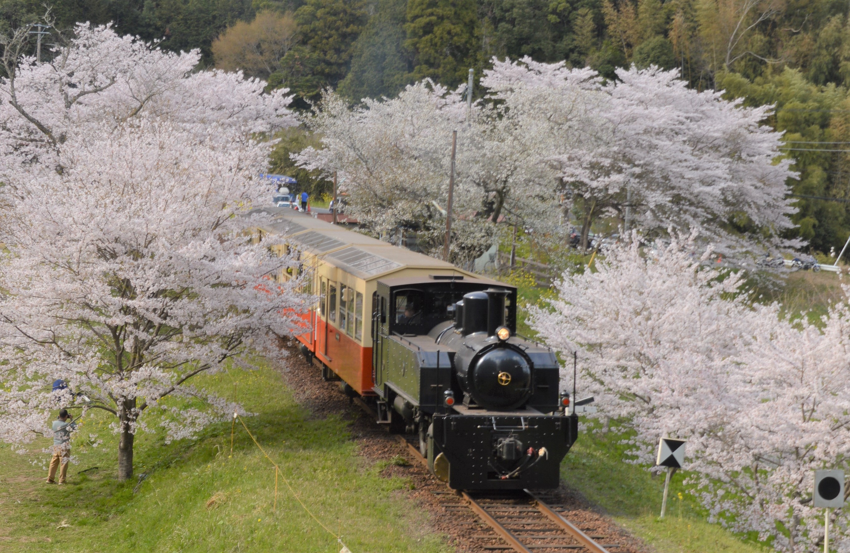 市原ナンバープレートに描かれた菜の花畑と房総里山トロッコ | 市原市 