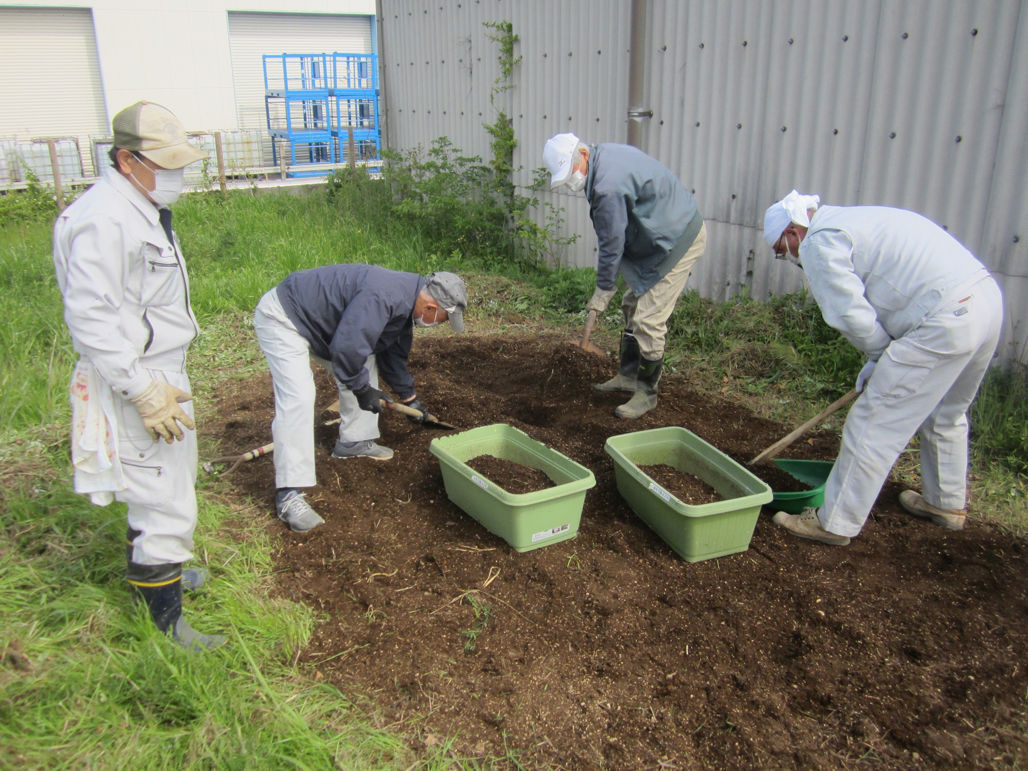 令和３年度 みどりのカーテンにっき ４ ５月 市原市ホームページ