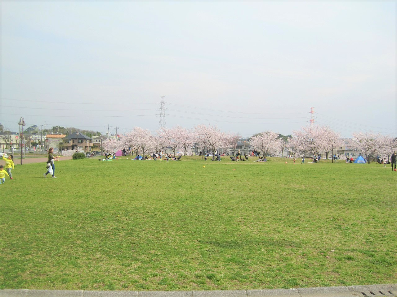 ちはら台公園 市原市ホームページ