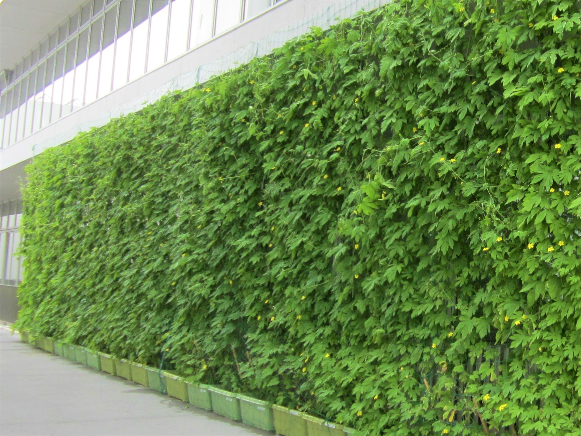 市原市福増クリーンセンター 市原市ホームページ