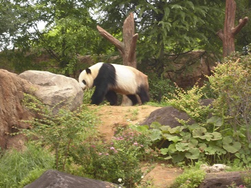 五井中学校 市原市ウェブサイト