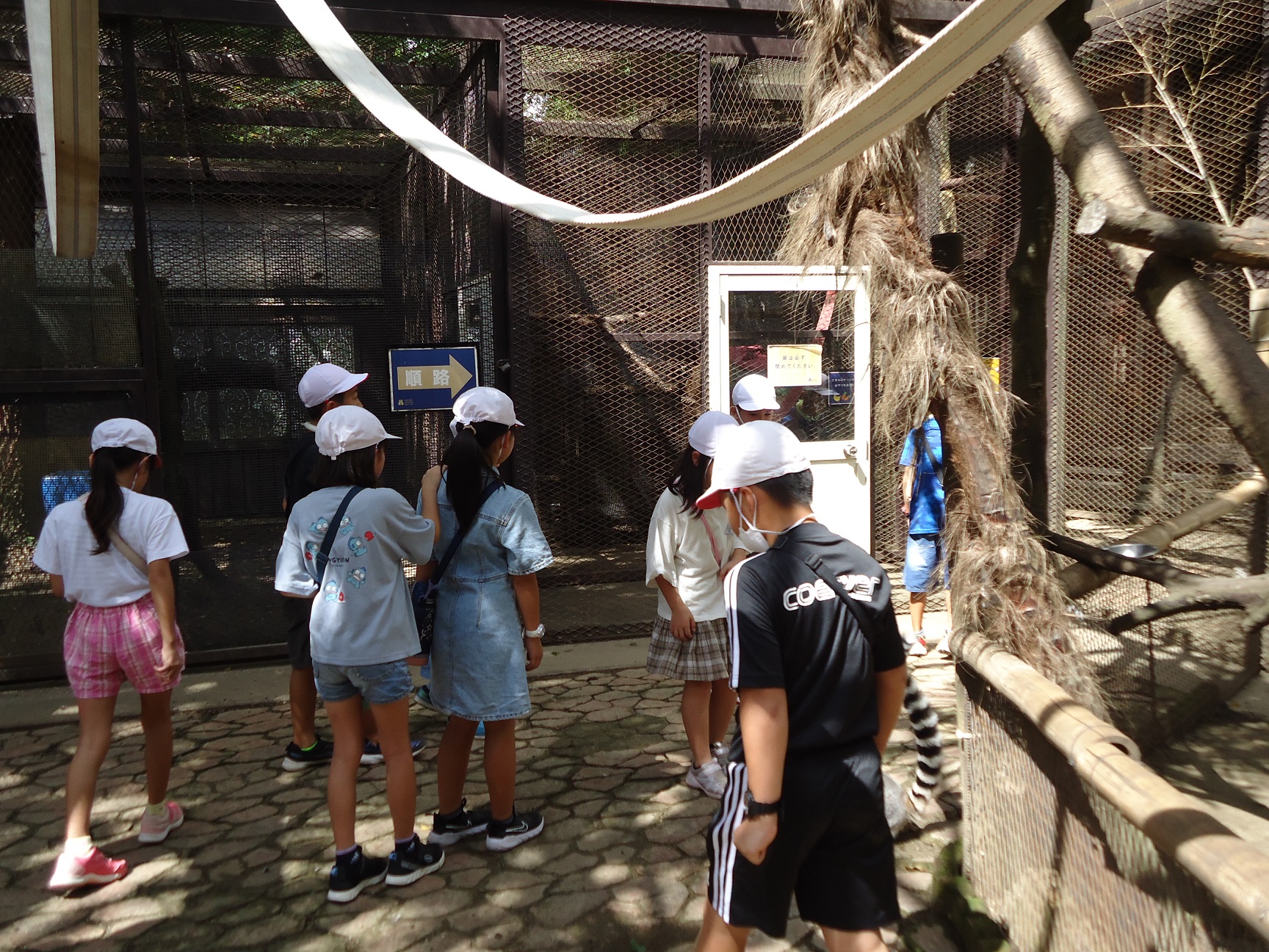 辰巳台中学校 市原市ウェブサイト